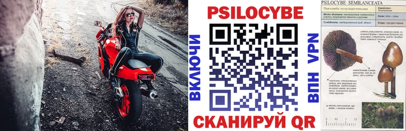 Галлюциногенные грибы Psilocybe  Купить где  Балей 
